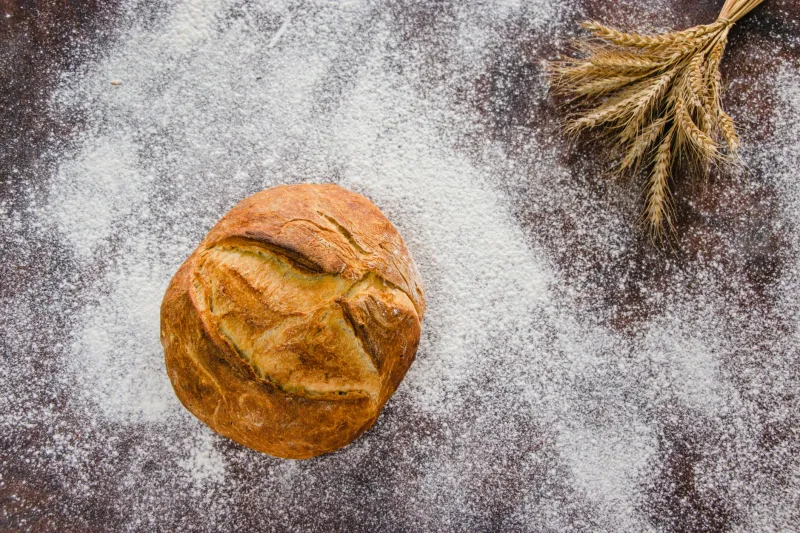 Grano, pietra e passione: come scegliere la farina giusta per la tua pizza