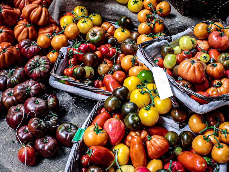Oltre il San Marzano: i Pomodori Dimenticati che Stanno Rivoluzionando la Pizza Italiana